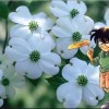 Détective Conan Image 10