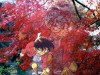 Détective Conan Image 2