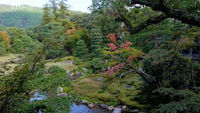 Jardins d'ici et d'ailleurs, Murin-an