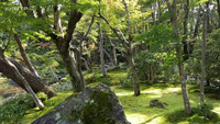 Jardins d'ici et d'ailleurs, Murin-an