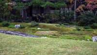 Jardins d'ici et d'ailleurs, Murin-an