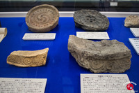 Exposition permanente au musée de l'université de Kyushu