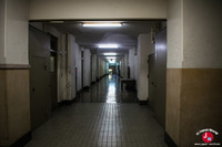 Couloirs de l'université de Kyushu et arrivée à son musée
