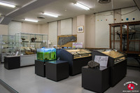 Le musée de l'université de Kyushu