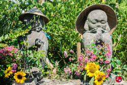 Sanctuaire au parc de l'île de Nokonoshima