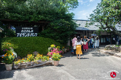 Arrivée au parc de l'île de Nokonoshima