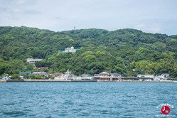 En route vers l'île aux fleurs : Nokonoshima En route vers l'île aux fleurs : Nokonoshima