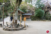 Le sanctuaire Shikaumi sur l'île de Shikanoshima