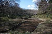 Jardin du Meiji-jingu Gyoen Jardin du Meiji-jingu Gyoen