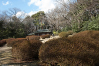 Kakuun-tei du Meiji-jingu Gyoen Kakuun-tei du Meiji-jingu Gyoen