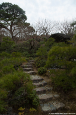 Ôkôchi Sansô - le jardin