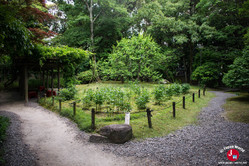 Le parc Yusentei à Fukuoka