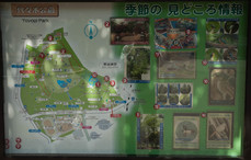 Yoyogi-koen Plan du parc