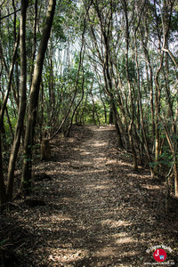 Retour de la randonnée du  lac Tempai à Fukuoka