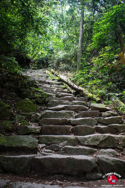 Randonnée du Mont Homan à Fukuoka