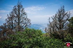 Vue en haut du Mont Homan à Fukuoka
