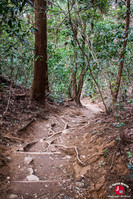 Descente du mont Tenpaizan à Fukuoka