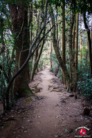 Descente du mont Tenpaizan à Fukuoka