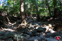 Sentier Miyukigahar