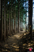 Chemin qui mène au mont Iwatakeishi-yama Chemin qui mène au mont Iwatakeishi-yama