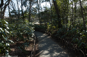 Entrée du Meiji-jingu Gyoen Entrée du Meiji-jingu Gyoen