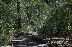 Jardin du Meiji-jingu Gyoen