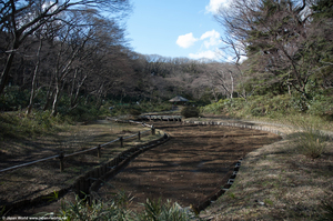 Jardin du Meiji-jingu Gyoen