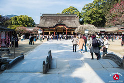 Le sanctuaire Dazaifu Tenman-gu