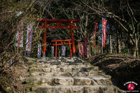 Le sanctuaire dans les hauteurs derrière le Dazaifu Tenman-gu