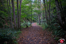 Le sentier des chutes Tatsusawa Fudo à Fukushima