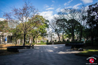 Tenjin Central Park