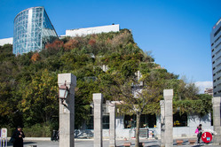 L'observatoire au Tenjin Central Park à Fukuoka
