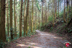 La randonnée pour le lac Tempai à Fukuoka