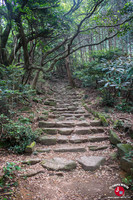 Randonnée du Mont Homan à Fukuoka