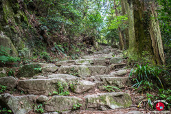 Randonnée du Mont Homan à Fukuoka