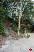 Choix du chemin au premier sanctuaire de la randonnée du mont Tenpaizan à Fukuoka