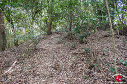 Chemin alternatif lors de la randonnée du mont Tenpaizan à Fukuoka