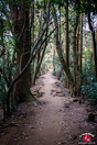 Descente du mont Tenpaizan à Fukuoka