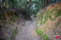 Descente du mont Tenpaizan à Fukuoka