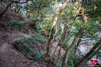 Descente du mont Tenpaizan à Fukuoka