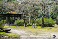 Début de la randonnée du mont Tenpaizan à Fukuoka