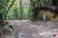 Randonnée du mont Tenpaizan à Fukuoka