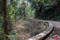 Randonnée du mont Tenpaizan à Fukuoka