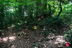 En direction de Bucchozan à Fukuoka