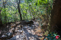 Descente par le sentier Shirakumobashi