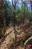 Descente vers le mont Sogaku-san