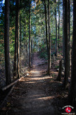 Descente vers le mont Sogaku-san