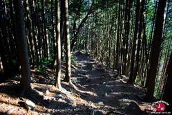 Descente de Takamizu-sanzan vers Mitake