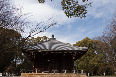 Kyozo Kyo-zo
