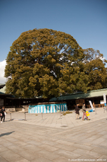 Meiji-jingu